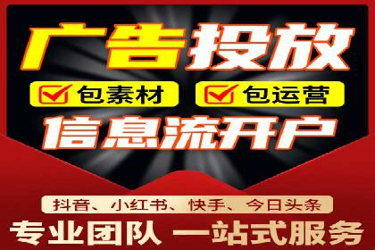 百度竞价广告运营全解析：成功案例揭秘